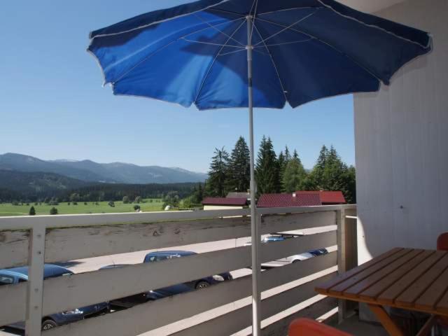 Perfect Day Apartment Bad Mitterndorf Ngoại thất bức ảnh